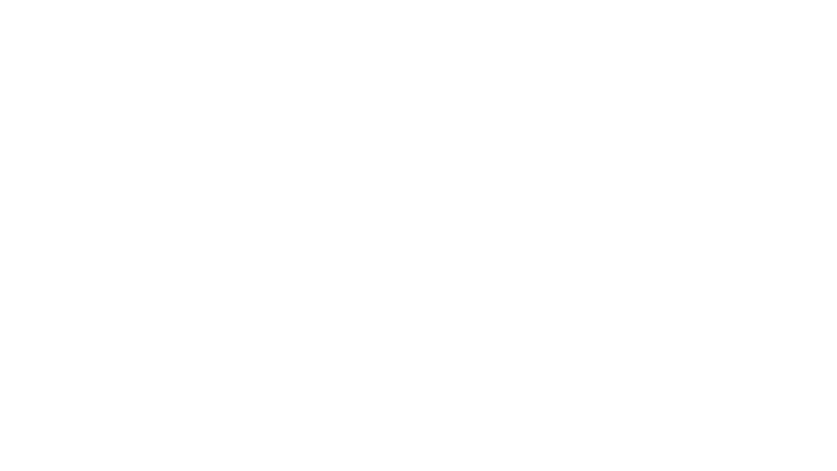 Les chevaux sauvages de Namibie