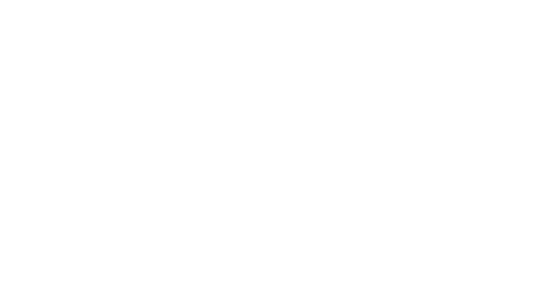 Les enquêtes de Jerry et Maya : Le secret des Von Broms