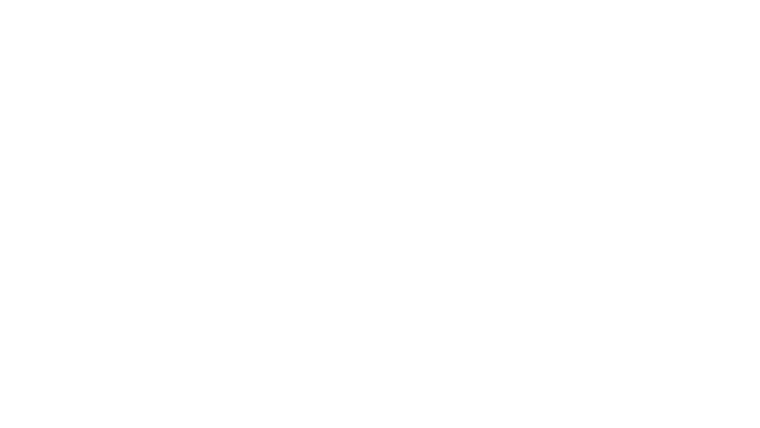Groland le gros métrage