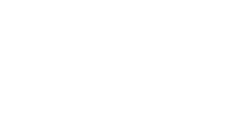 Mr. Turner