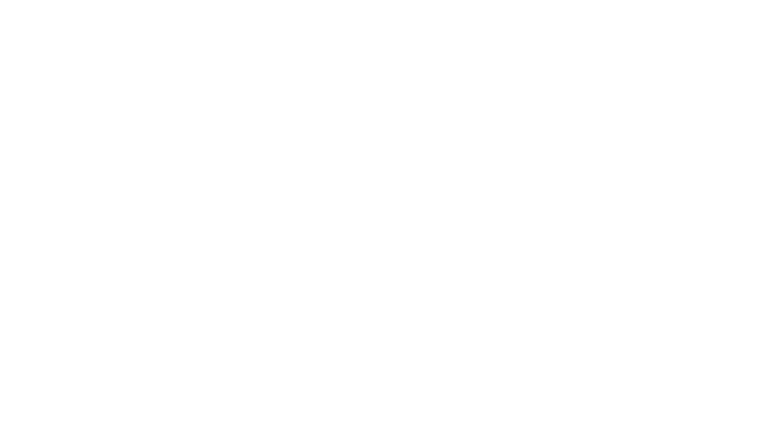 Steve Jobs