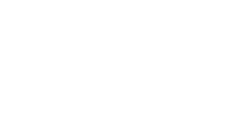 The Bubble