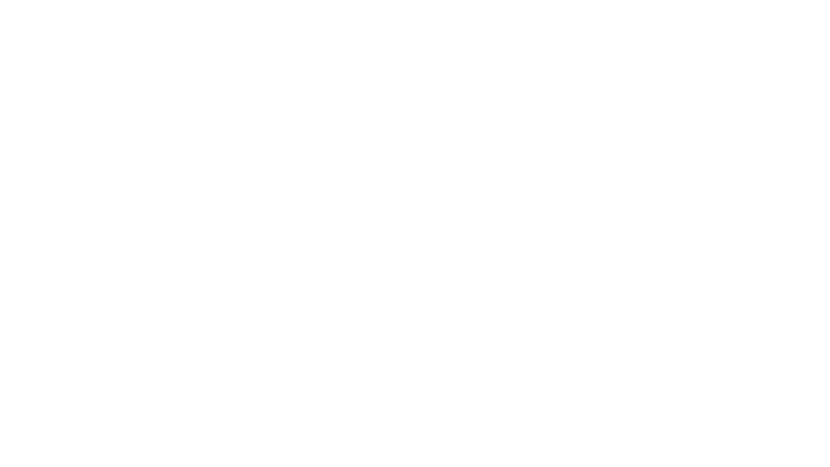 Chronique des pauvres amants