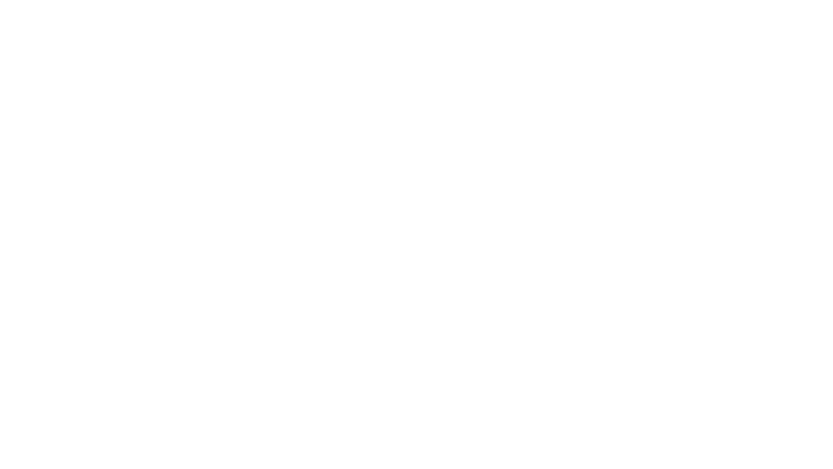 La fille inconnue