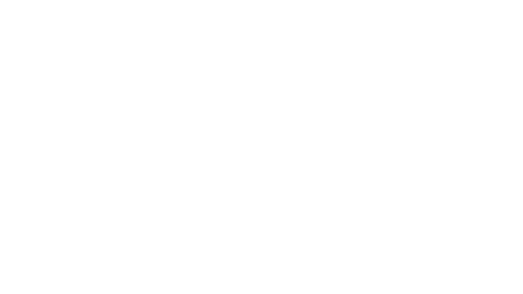 L'homme bicentenaire