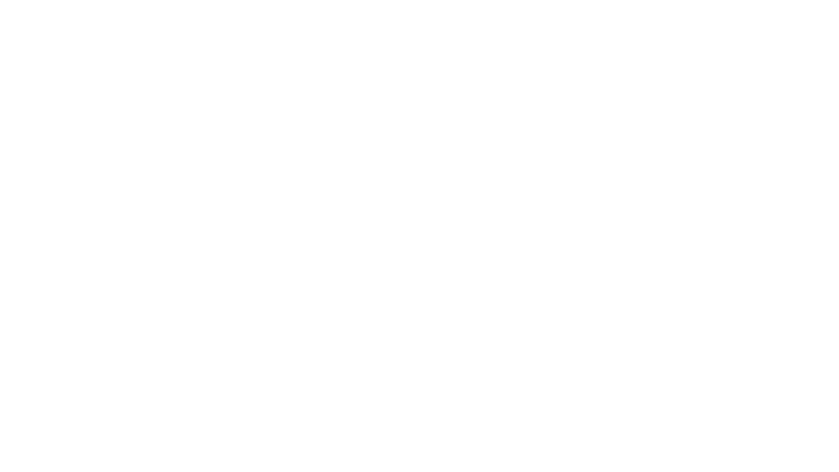 Conor McGregor : Notorious