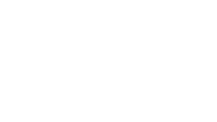 Le casse de Central Park