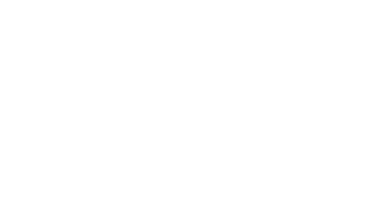 La princesse de Montpensier