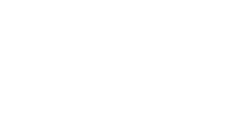 The Birdcatcher
