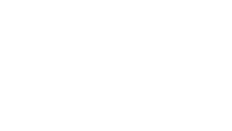 Invisible Man