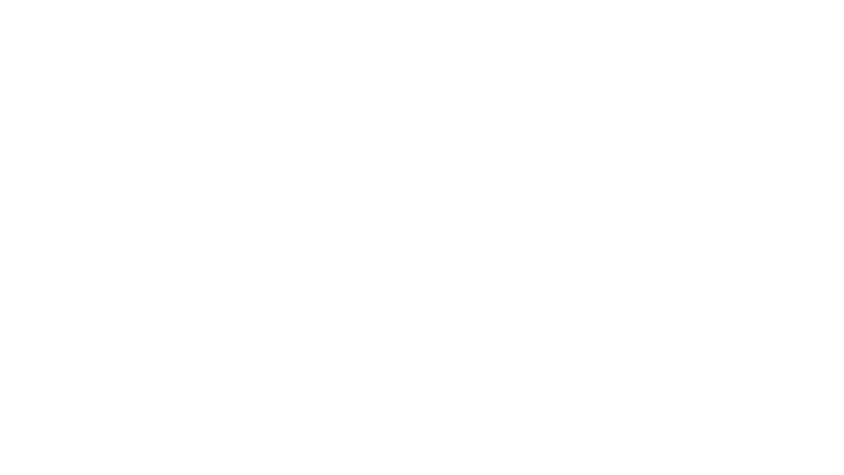 The Fallout