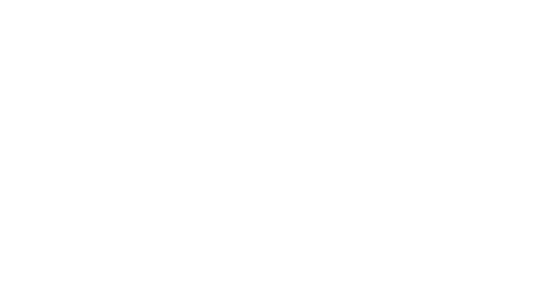 Une vie démente