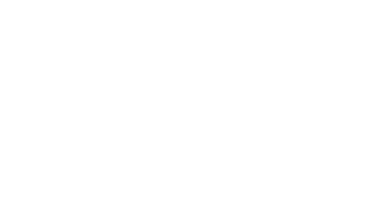 Atlanta's Missing and Murdered : The Lost Children