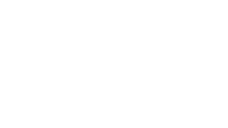 Haute couture
