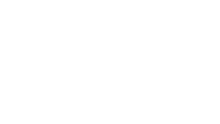 Max 2 : Un héros à la Maison Blanche