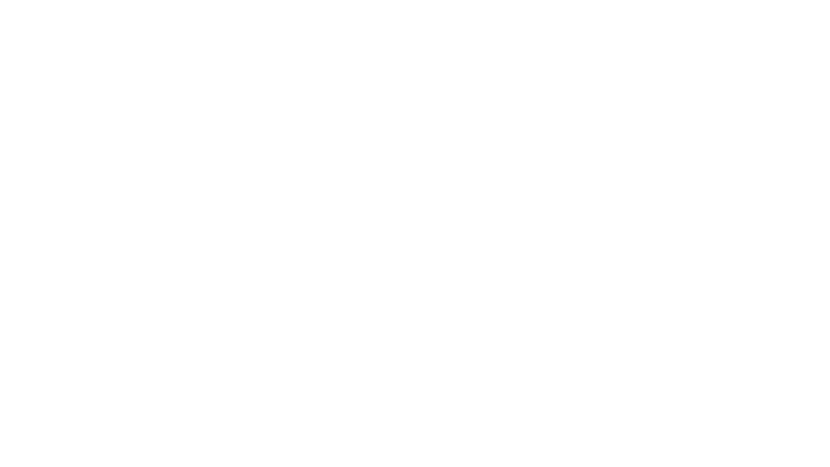 End of a Gun