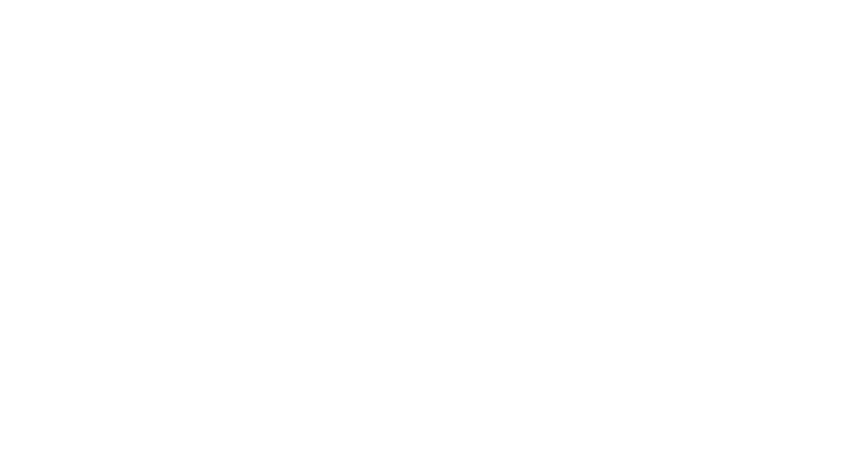 Bisping : La naissance d'une légende