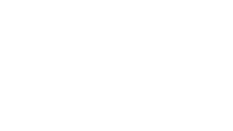 The Perfect Weapon