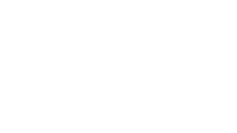 Soldiers of Fortune