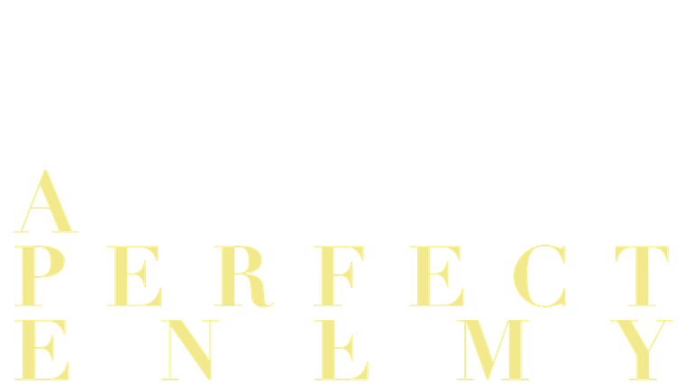 A Perfect Enemy