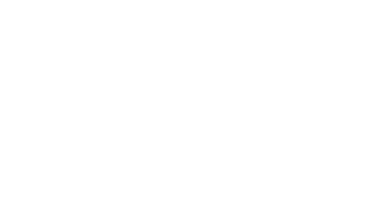 Partisan