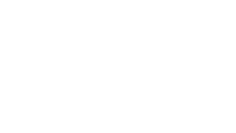 The Assistant