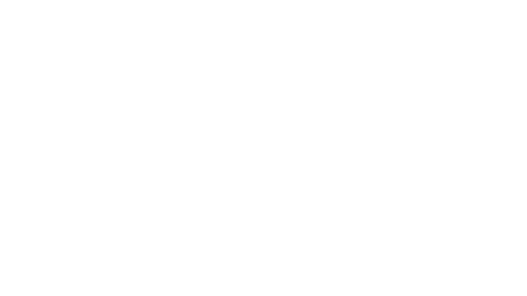 The Master