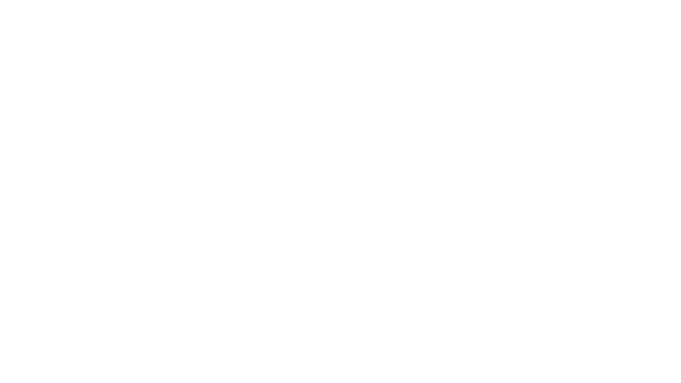 L'Homme du président