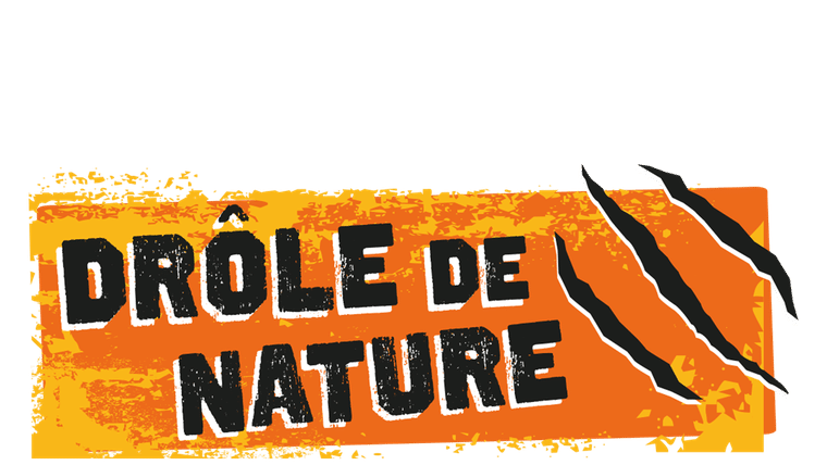 Drôle de nature