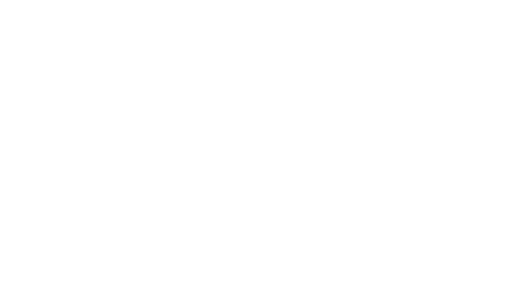 Les sept mercenaires