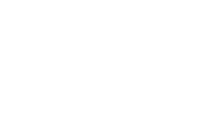 Al Pacino : le Bronx et la fureur