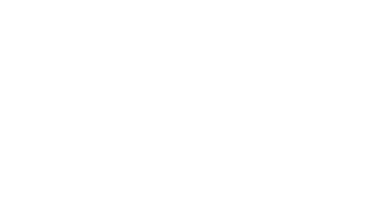 Whitney Houston, destin brisé