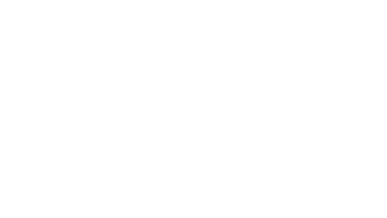 Visitors