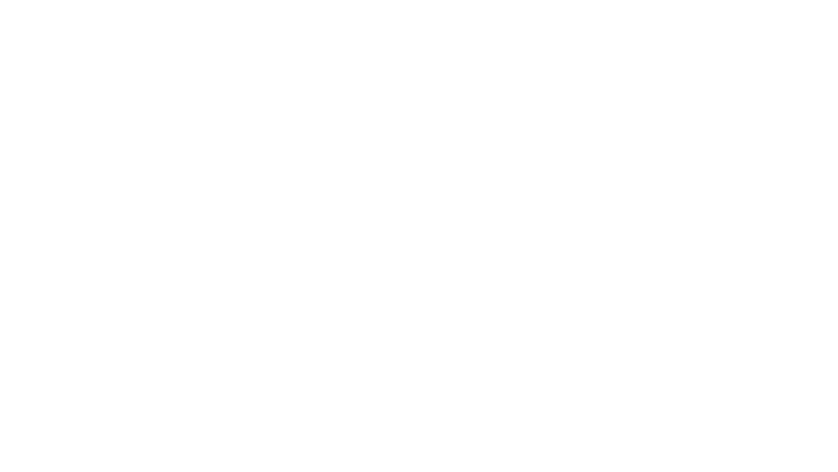 Toro