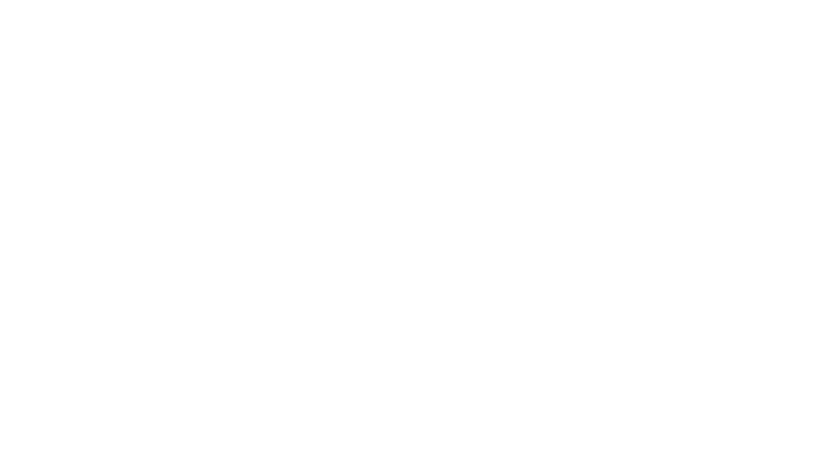 The Maid