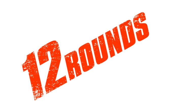 12 Rounds 3 : Lockdown