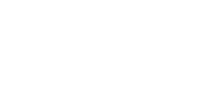 Quan Dao : The Journey of a Boxer