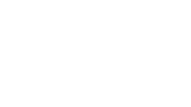 The Mimic