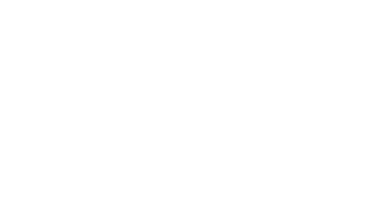 L'ours