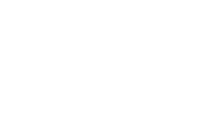 The Tourist