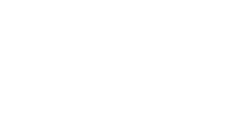 L'événement