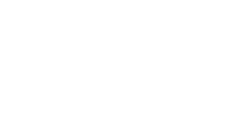 Baron Noir