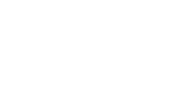 Calls