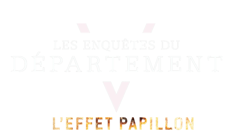 Les enquêtes du département V : l'effet papillon