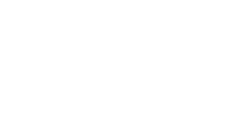 La pièce rapportée