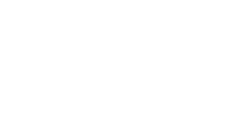 Boîte noire