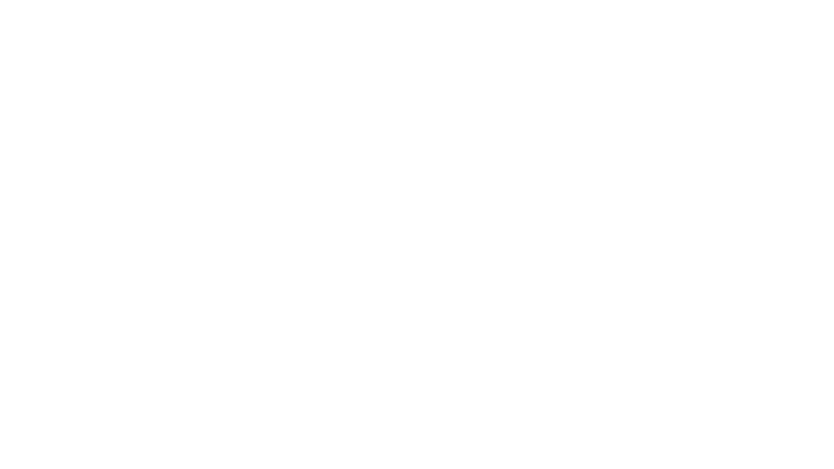 L'Hypothèse démocratique - Une histoire basque