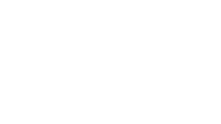 Flying with Eagles