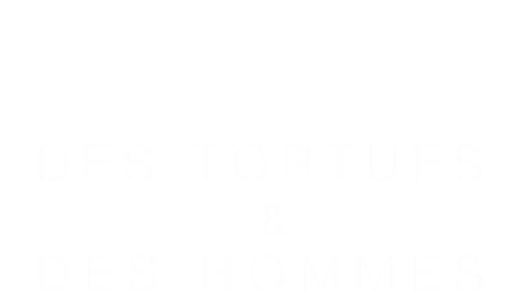 Des tortues et des hommes