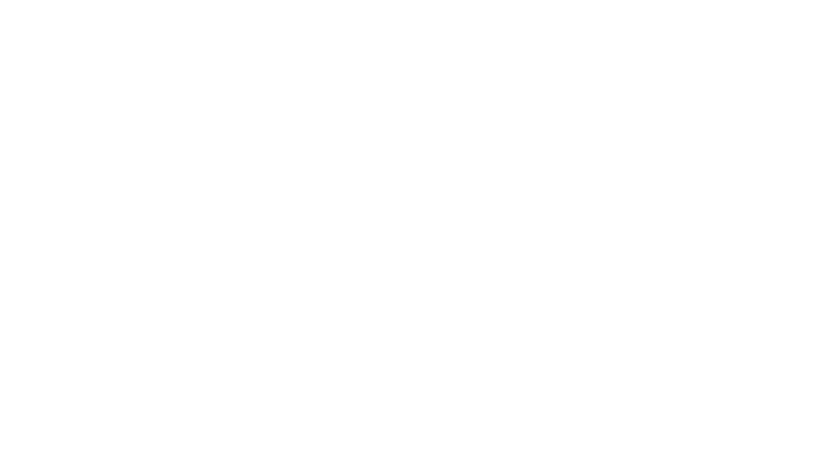 Robuste